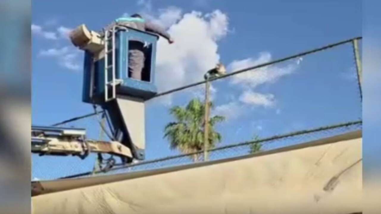 Alanya’da Küçük Can İçin Seferberlik 4